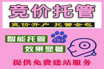 案例分享：竞价代运营助力企业增长